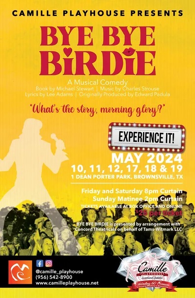 Bye Bye Birdie by Camille Lightner Playhouse