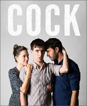 Review: Cock by Theatre en Bloc
