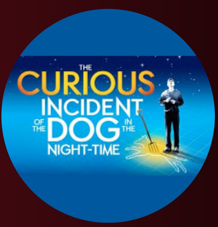 The Curious Incident of the Dog in the Night-Time by Circle Arts Theatre
