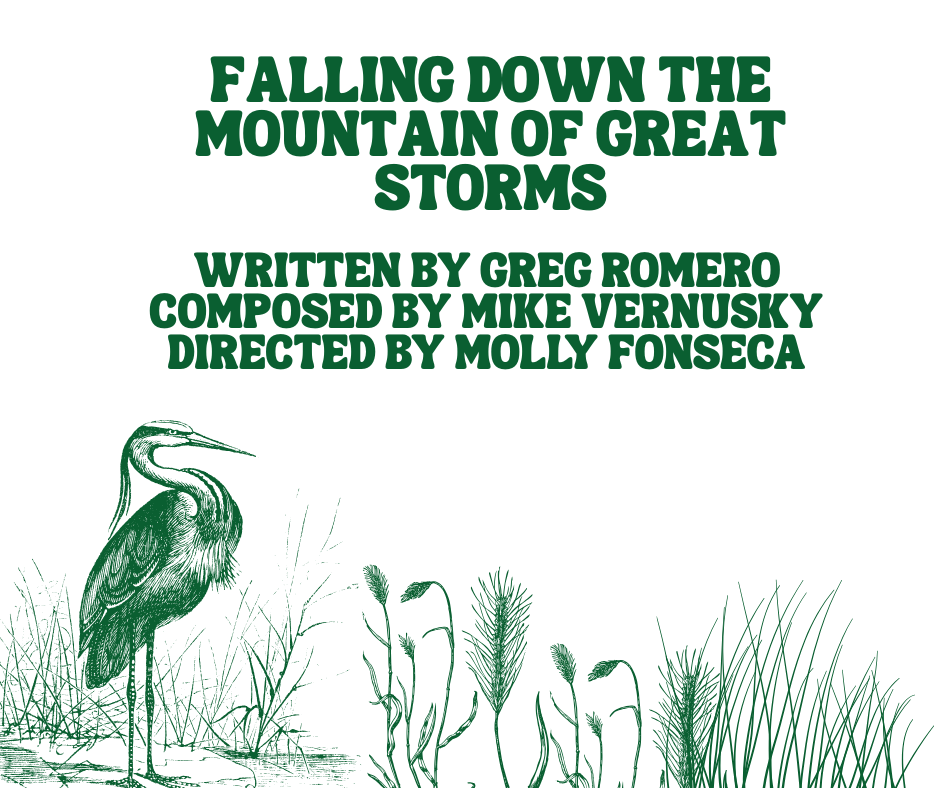 Falling Down the Mountain of Great Storms by Broad Theatre
