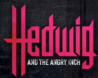 Hedwig and the Angry Inch by The Theatre Company (TTC)