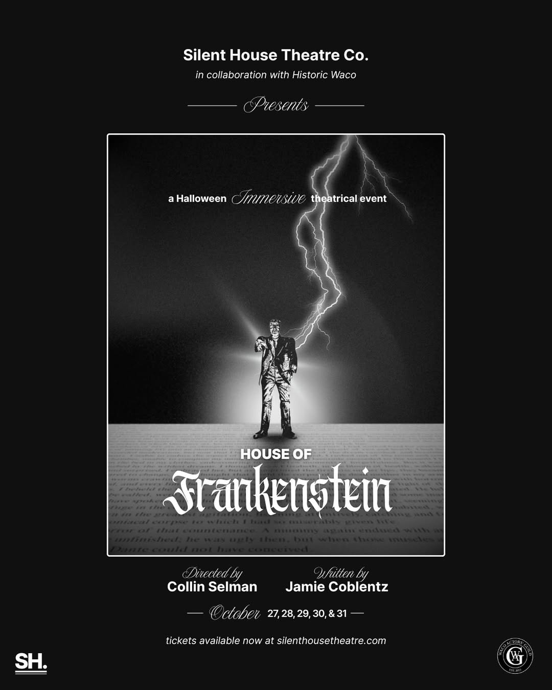 House of Frankenstein by Silent House Theatre (SH.)