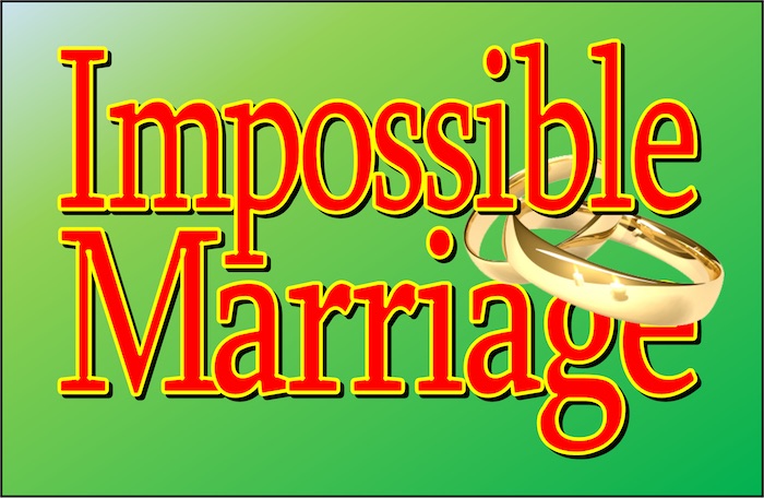Impossible Marriage by Playhouse 2000