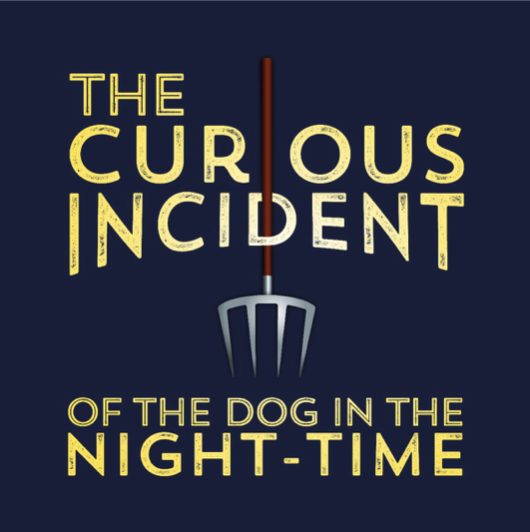 CTX3504. Auditions for The Curious Incident of the Dog in the Night-Time, by Playhouse 2000