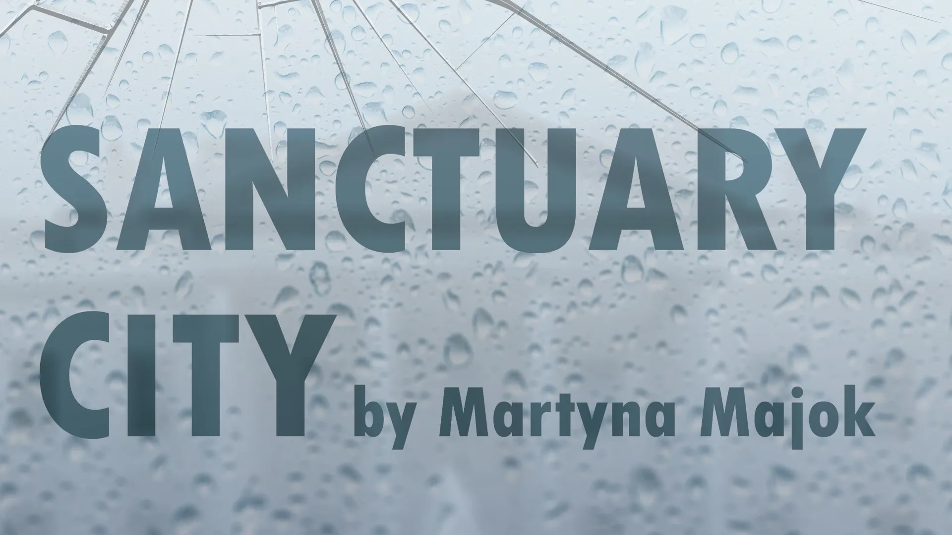 Sanctuary City by Trinity University