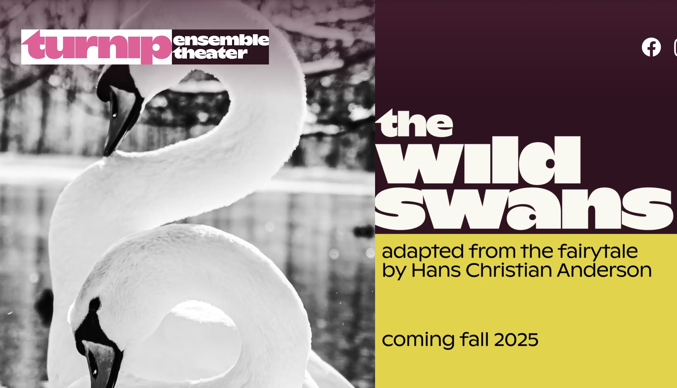 The Wild Swans by Turnip Ensemble Theater