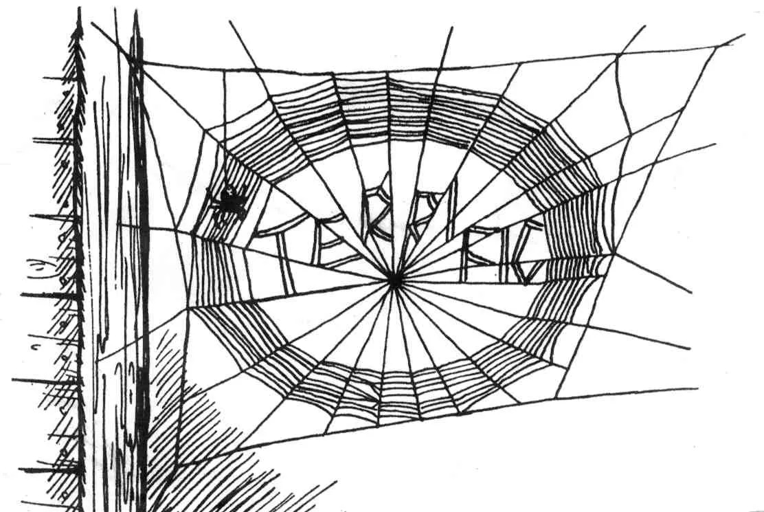 CTX4209. Auditions for Charlotte's Web, by Zach Theatre, Austin