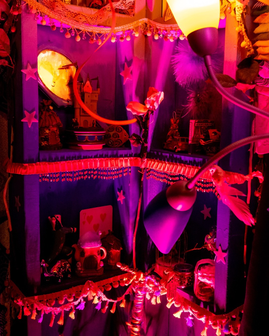 (photo by Errich Petersen)