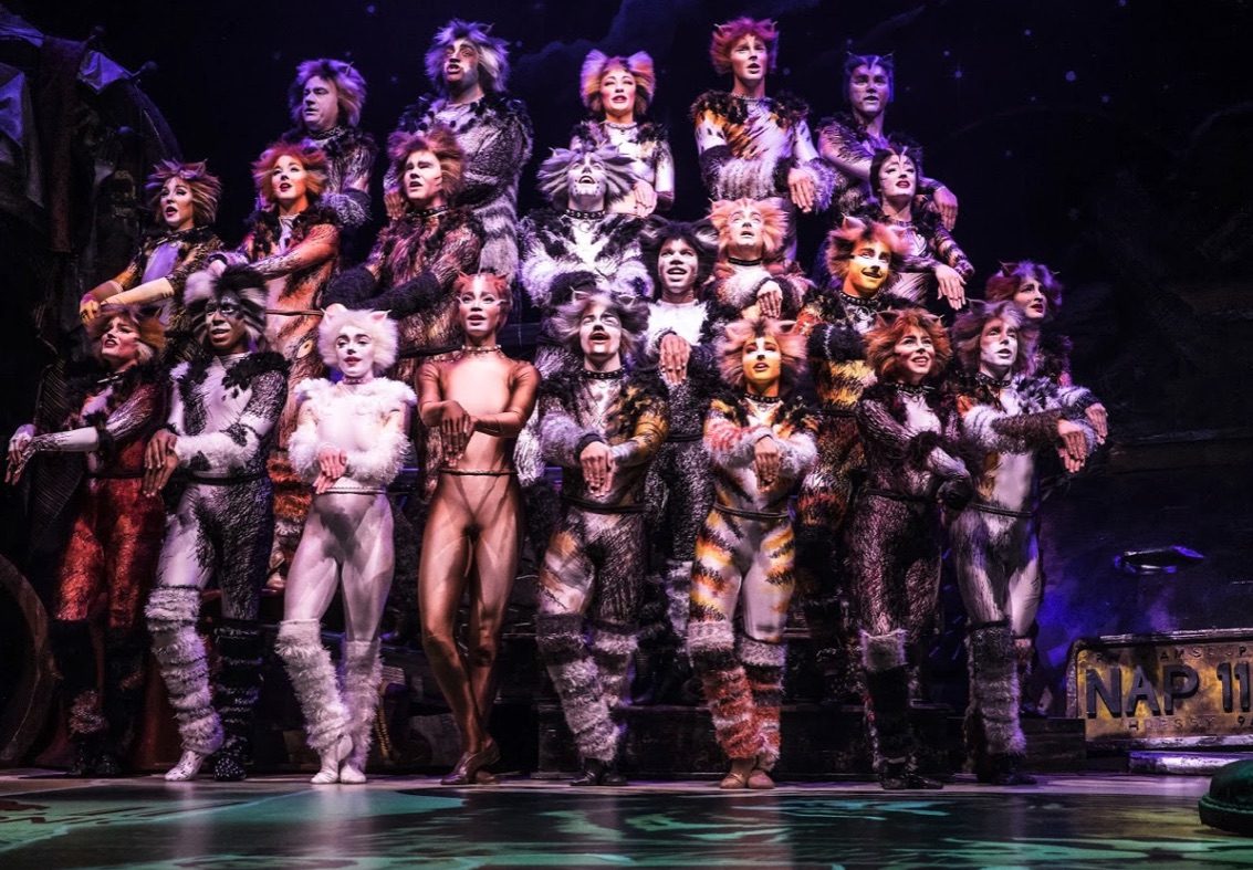 Review: Cats by touring company