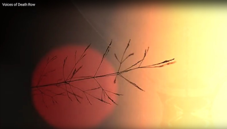 (via Keith Allegretti)